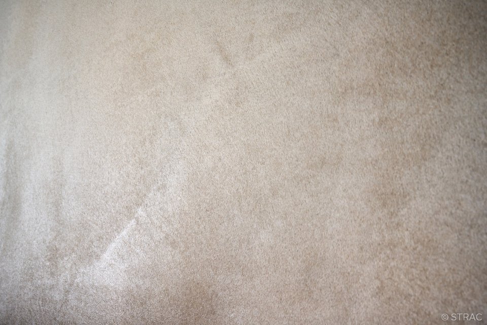 Betonstuc laten aanbrengen